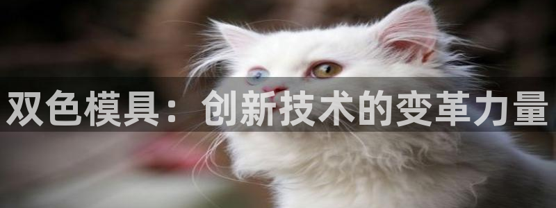 太阳集团游戏App：双色模具：创新技术的变革力量