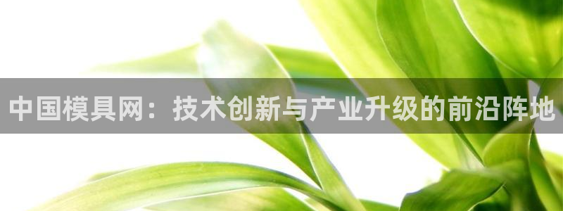太阳集团游戏城旧版：中国模具网：技术创新与产业升级的前沿阵地