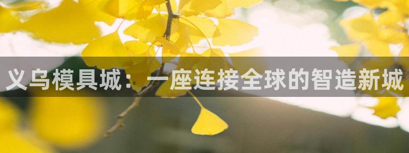 太阳gg官网登录：义乌模具城：一座连接全球的智造新城