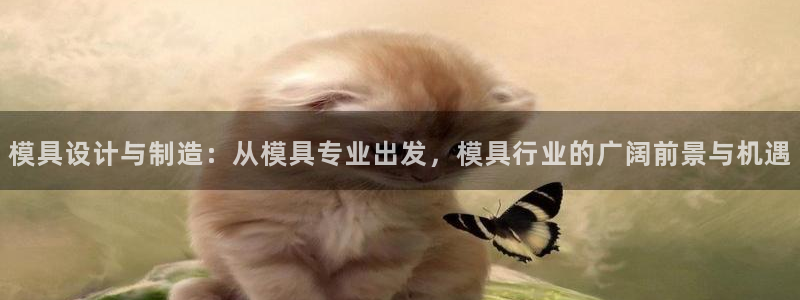 15vip太阳集团登录：模具设计与制造：从模具专业出发，模具行业的广阔前景与机遇
