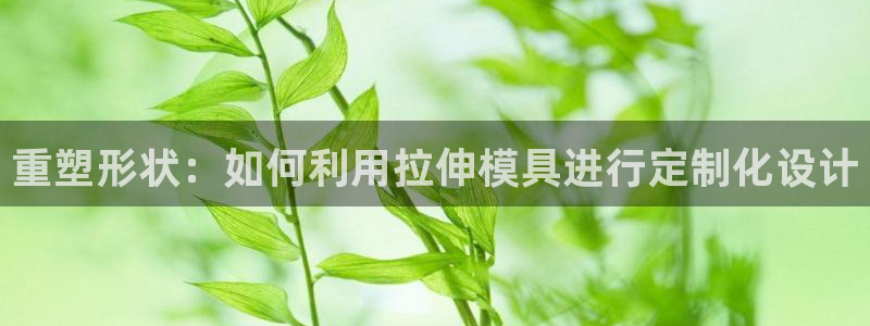 太阳2游戏娱乐官网：重塑形状：如何利用拉伸模具进行定制化设计