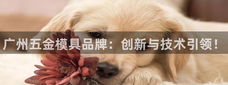 太阳集团娱乐所有网站app游戏优势：广州五金模具品牌：创新与技术引领！