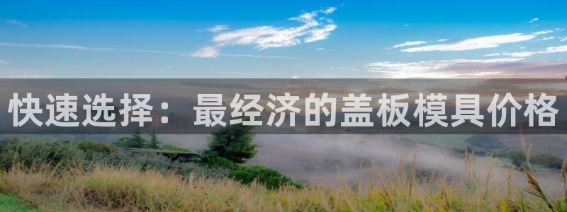 太阳gg登录首页：快速选择：最经济的盖板模具价格