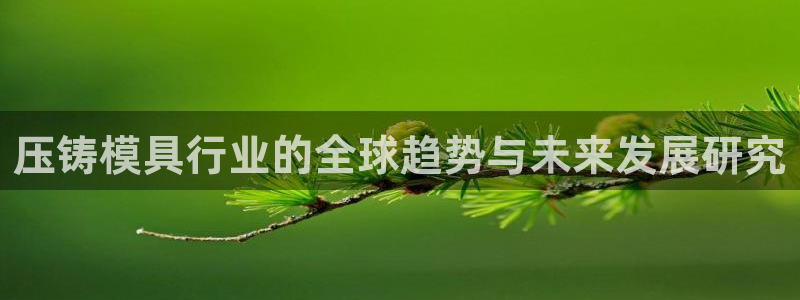 太阳2官方下载：压铸模具行业的全球趋势与未来发展研究