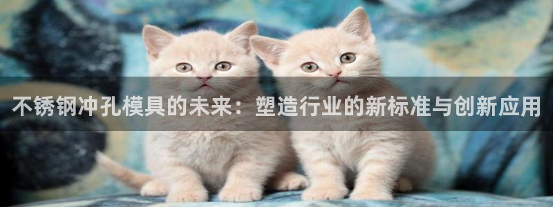 太阳成集团网站5：不锈钢冲孔模具的未来：塑造行业的新标准与创