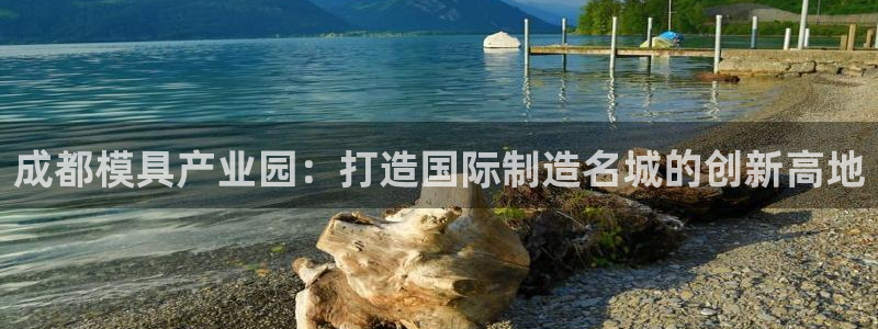 太阳成集团tyc234cc主页网站：成都模具产业园：打造国际