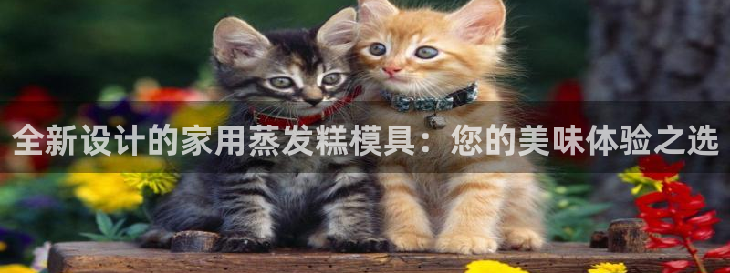 太阳集团洗米华菲律宾：全新设计的家用蒸发糕模具：您的美味体验之选